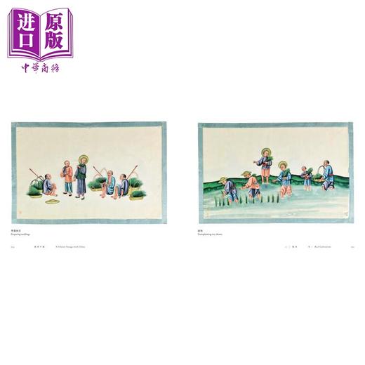 预售 【中商原版】异想中国:香港中文大学圙书馆藏通草纸画 港台艺术原版 香港中文大学 商品图4