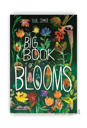 The Big Book of Blooms (The Big Book Series) / 花朵大书（大书系列）