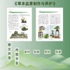 草本盆景制作与养护 兑宝峰 编著 0257 竹草类盆景 多肉类盆景 草本植物 盆器选择 造型技法 盆景艺术 中国林业出版社 畅销书籍 商品缩略图2
