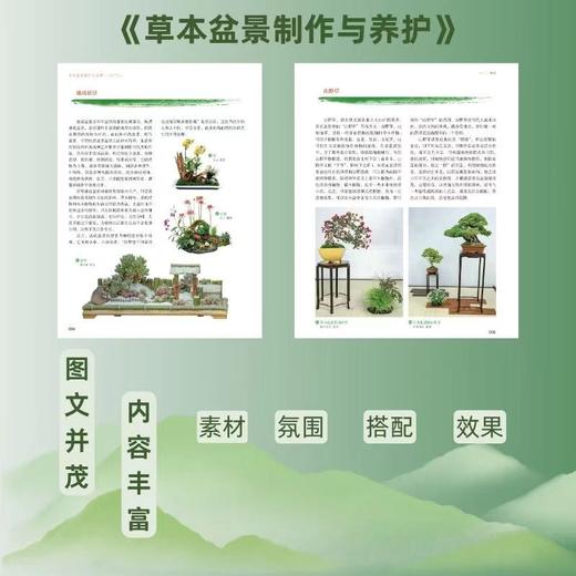 草本盆景制作与养护 兑宝峰 编著 0257 竹草类盆景 多肉类盆景 草本植物 盆器选择 造型技法 盆景艺术 中国林业出版社 畅销书籍 商品图2