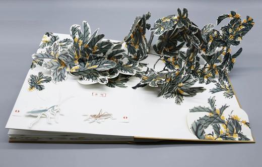 3D立体书：《齐白石老人的花园》，8开，齐白石著，荣宝斋出版社2023年一版一印，定价398，售价149元。 商品图12
