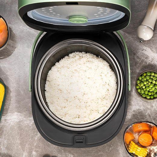 北欧欧慕  蒂亚电饭煲NM-FB1302  4L 商品图5