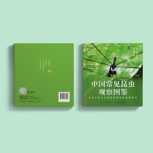 《生活观察图鉴 中国常见昆虫观察图鉴》 商品图14