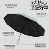 「环扣设计！数色可选」晴雨两用伞折叠伞 全自动环扣加大加厚多人可用户外防紫外线伞居家日用雨伞 商品缩略图2