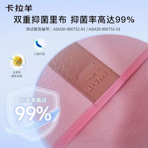 【1-3年级】卡拉羊小学生18L防下坠减负超轻云朵书包凌云S2213 商品图3