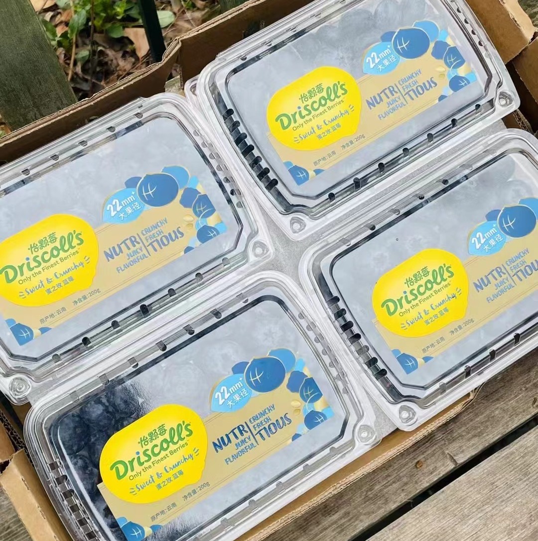 Driscoll's怡颗莓22+特大果都到货了 一颗树上摘不到几颗，跟金桔差不多大小了，普通蓝莓王跟他一起就是mini小可爱果粉还足足的，口感脆生生，绵糯糯，细滑滑，甜滋滋的，极致无与伦比的享受！