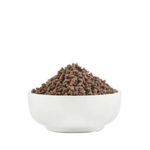 宠爵火鸡全阶幼猫肠胃呵护猫粮3斤英短猫糕奶增肥营养通用型 商品图3