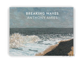 Anthony Amies: Breaking Waves / 安东尼·艾米斯：破浪