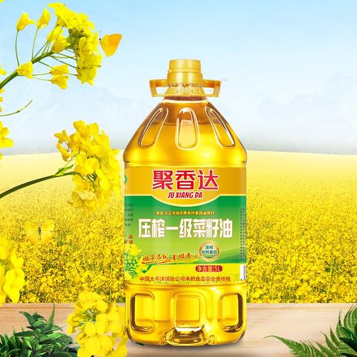 聚香达  压榨一级菜籽油5L 商品图2