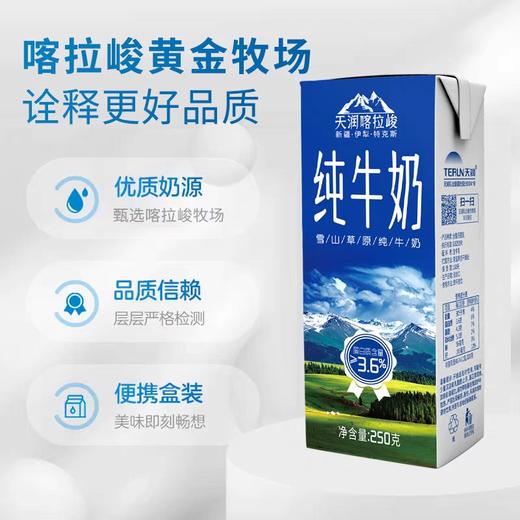 喀拉峻纯牛奶 250ml*12盒 新疆天润纯奶 营养早餐奶 商品图3