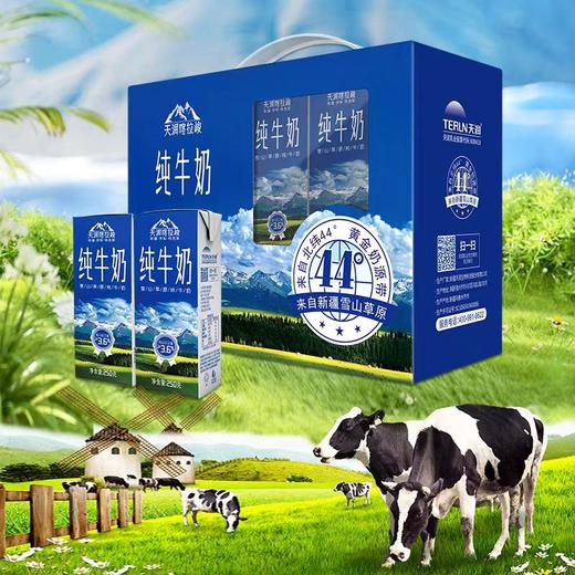 喀拉峻纯牛奶 250ml*12盒 新疆天润纯奶 营养早餐奶 商品图1