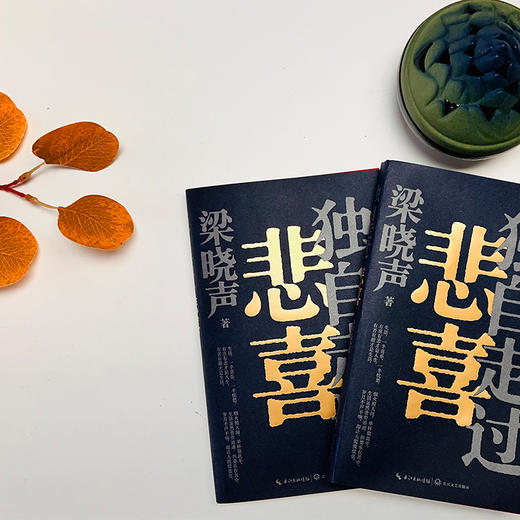 独自走过悲喜 商品图3