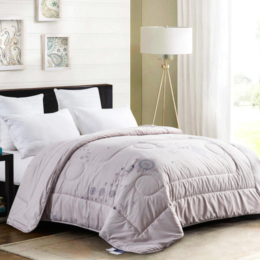 芳恩 澳洲纯羊毛被 商品图0