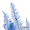 永生花材 ｜ 芒其叶蓝色 商品缩略图1