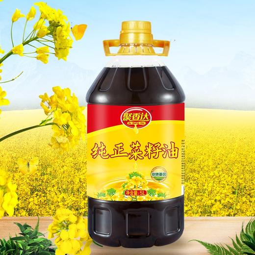 聚香达  纯正菜籽油5L 商品图2
