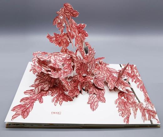 3D立体书：《齐白石老人的花园》，8开，齐白石著，荣宝斋出版社2023年一版一印，定价398，售价149元。 商品图13