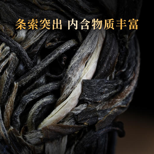 【茶王树】2023年头春头采茶云南易武刮风寨茶王树普洱茶生茶357克/饼 商品图2