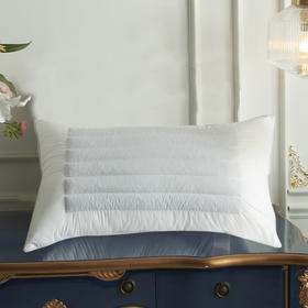 芳恩 全棉荞麦羽丝枕