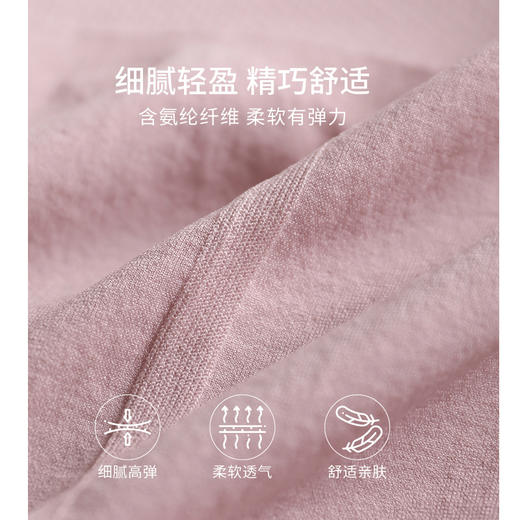 【七条装】高腰暖宫纯棉档内裤 芬腾 商品图3