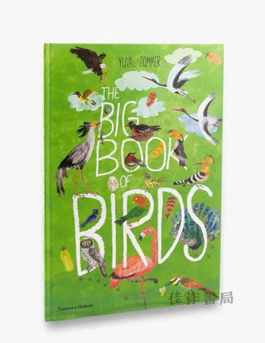 The Big Book of Birds (The Big Book Series) / 鸟类大书（大书系列） 商品图1