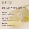 云惜 迷迭香强韧头皮精华油30ml 商品缩略图1