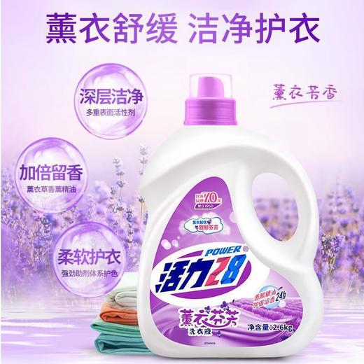 24斤家庭装活力28洗衣液薰衣家用洗衣液清洁去渍持久留香温和护手 商品图0