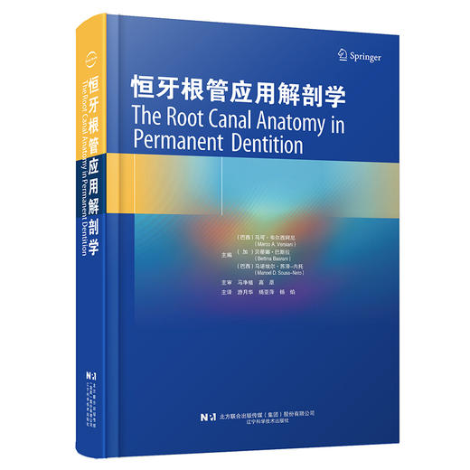 恒牙根管应用解剖学 巴西 马可 韦尔西阿尼 著 游月华 杨亚萍 杨焰 主译 口腔科医生 辽宁科学技术出版社9787559132581 商品图1