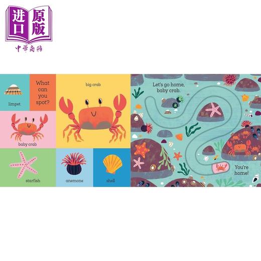 【中商原版】滑块轨道书 回家吧 鲨鱼宝宝 Lets Go Home Baby Shark英文原版 儿童纸板绘本 幼儿纸板书图画书 进口低幼童书 商品图2