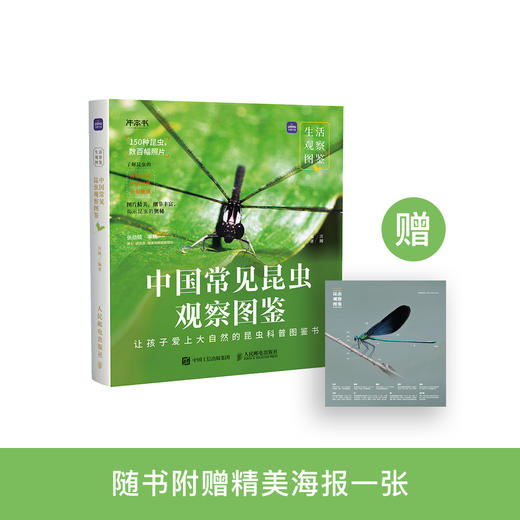 《生活观察图鉴 中国常见昆虫观察图鉴》 商品图0