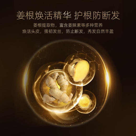 温莎森林根源强韧精华洗发露|姜根焕活精华，护根防断发 商品图6