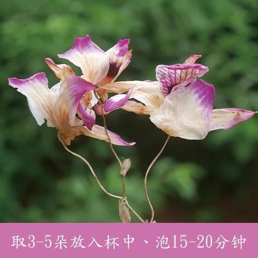 2023【紫色石斛花】仙草之一，虫草之上 商品图8