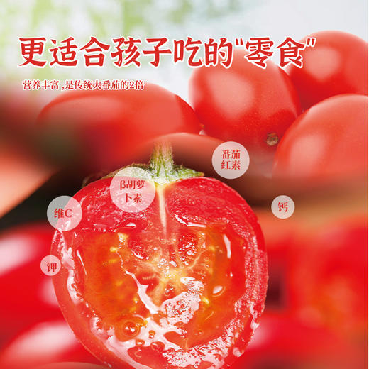 【3斤/5斤】多彩红+黄樱桃番茄组合 限时特惠 商品图1