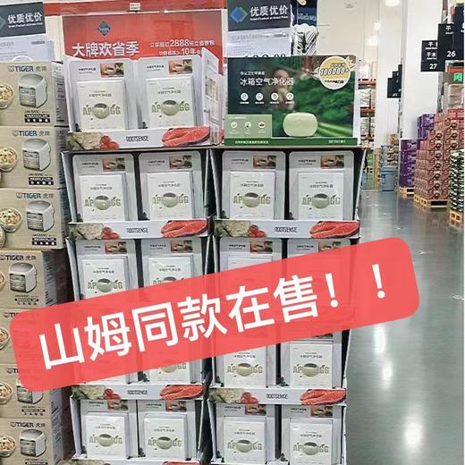 舌尖卫士冰箱除味蛋 灭菌消异味 吃的更放心 商品图5