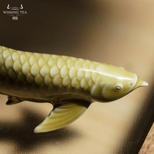 问鼎鱼茶宠（缺货） 商品图4