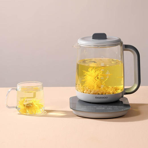 大宇（DAEWOO）养生壶多功能家用1.8L大容量烧水壶煮茶器DYYS-18L80E 商品图1