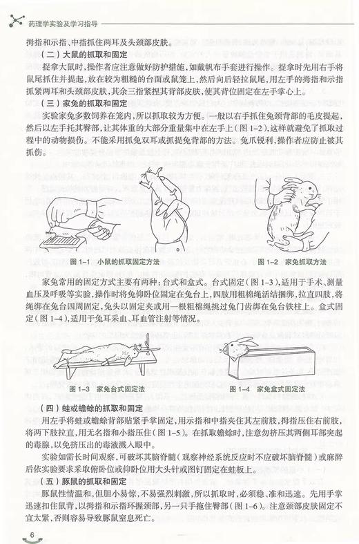 药理学实验及学习指导 高等职业院校技能型人才培养创新教材 许卫锋 梁建云 人民卫生出版社9787117307680 商品图3