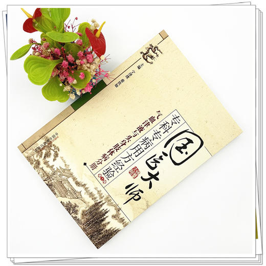 国医大师 专科专病用方经验第1辑 气血津液与头身肢体病分册 宁泽璞等编 中国中医药出版社 商品图1