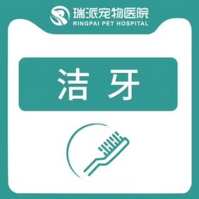 【洁牙套餐】犬猫通用洁牙套餐10kg以下