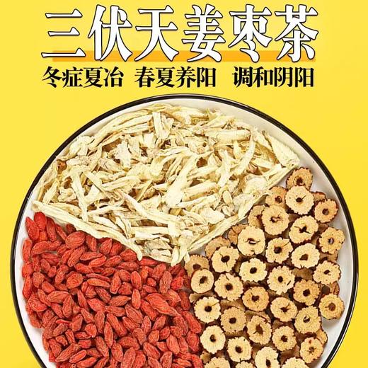 【养生排寒好时机，三伏天坚持喝】冬症夏冶春夏养阳，调和阴阳姜枣茶养生茶，科学配比好喝不上火辛香不辣嗓，一包喝一天红枣姜丝陈皮组合泡水喝茶包三伏天茶包QQ 商品图3