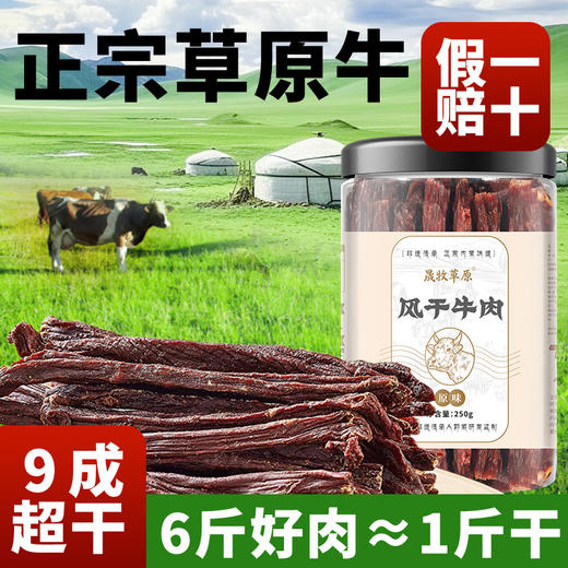 牛肉干风干牛肉 内蒙古牛肉干 手撕牛肉罐装零食  正宗内蒙古特产牛肉干 商品图1