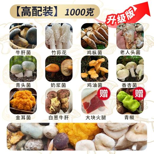 【野生菌组合•云南】#顺丰空运  10种菌菇 美味鸡枞菌、金耳菌、青头菌、鸡油菌、虫草花、牛肝菌、竹荪花等2种组合任选 商品图2