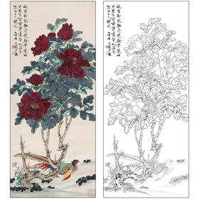 于非闇花鸟工笔画白描底稿《牡丹锦鸡》临摹勾线高清打印稿HS11