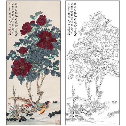 于非闇花鸟工笔画白描底稿《牡丹锦鸡》临摹勾线高清打印稿HS11 商品图0