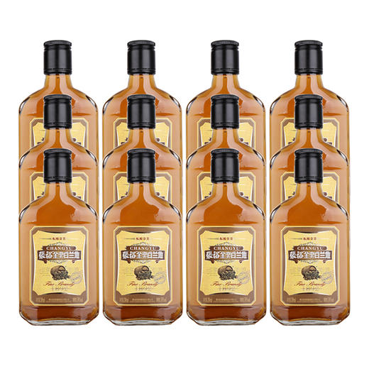 张裕金奖白兰地200nl 商品图0