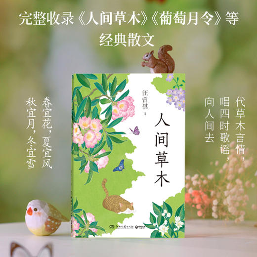 人间草木（汪曾祺自然散文经典，我的阿勒泰作者李娟诚挚赞许）(汪曾祺 著) 商品图2
