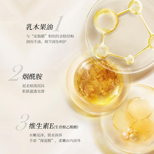 花丘（特惠） 乳木果手膜霜  50g  强效润燥，娇嫩双手 商品图2