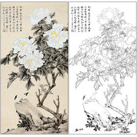 于非闇花鸟工笔画白描底稿《白牡丹》临摹勾线高清打印稿HS23
