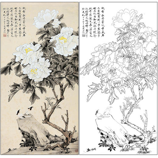 于非闇花鸟工笔画白描底稿《白牡丹》临摹勾线高清打印稿HS23 商品图0