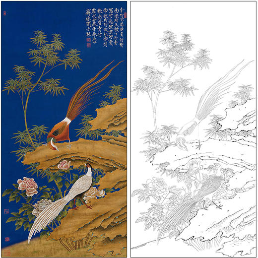 于非闇花鸟工笔画白描底稿《锦鸡青竹图》临摹勾线高清打印稿HS25 商品图0