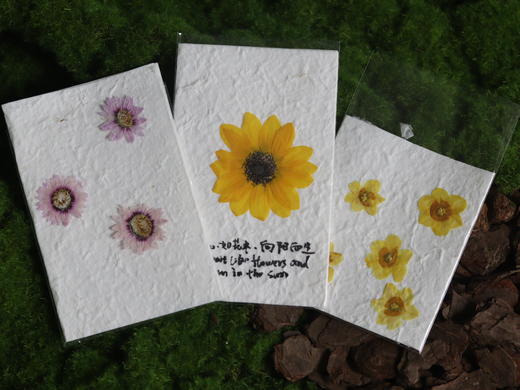 押花贺卡15个起送款式随机 商品图1